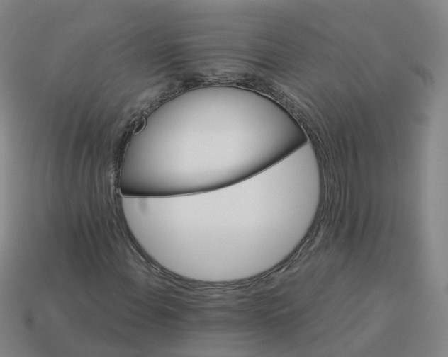 X0000114081108200910191536