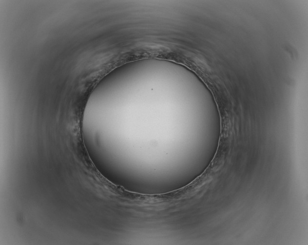 X0000114081109200910191537