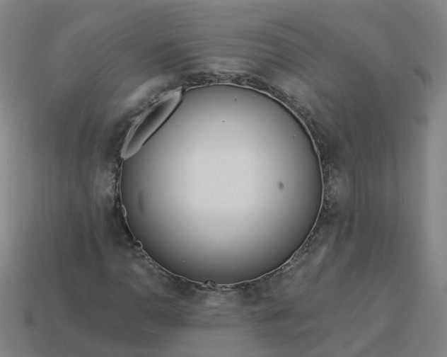 X0000114081110200910191537