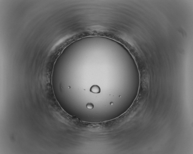 X0000114081112200910191537