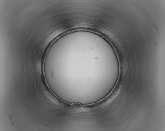 X0000114081113200910191537