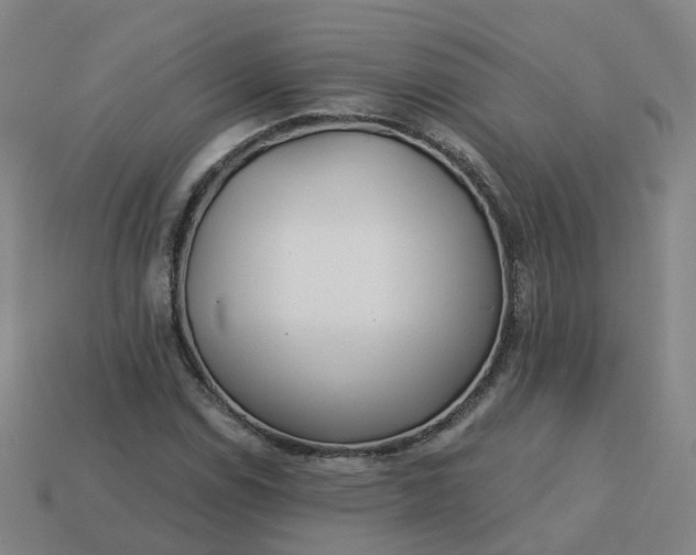 X0000114081114200910191537