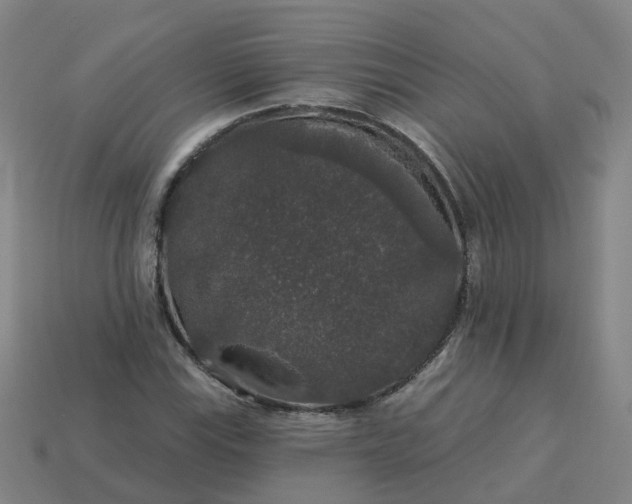 X0000114081115200910191537