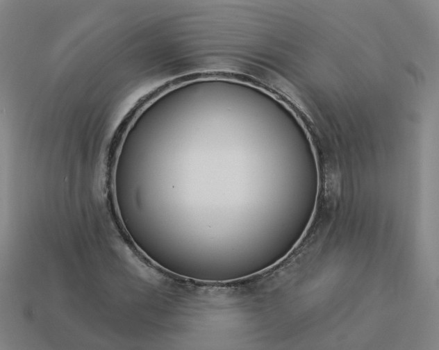 X0000114081116200910191537