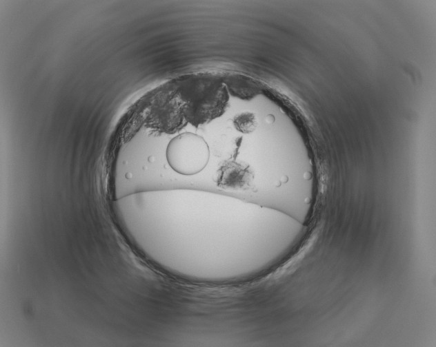 X0000114081117200910191537