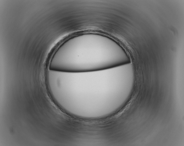 X0000114081118200910191537