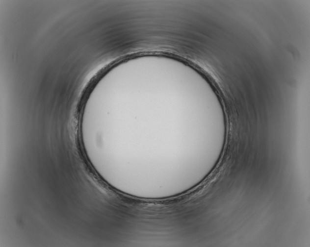 X0000114081119200910191537