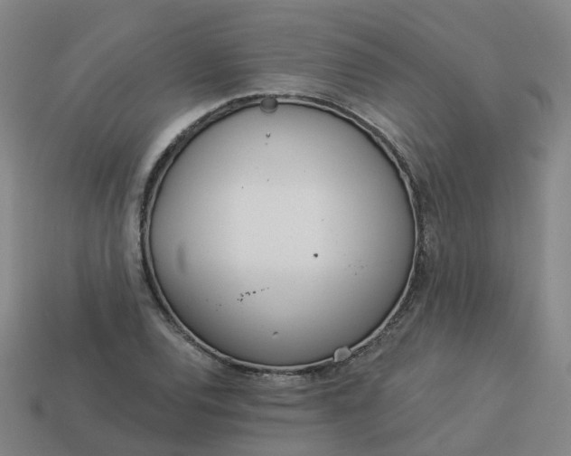 X0000114081120200910191537