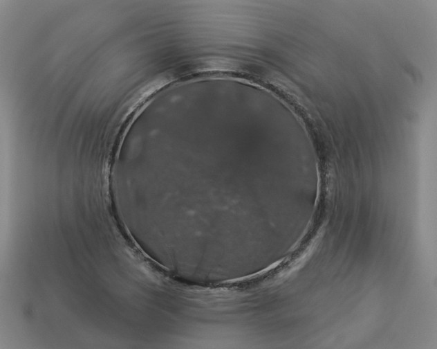 X0000114081121200910191537