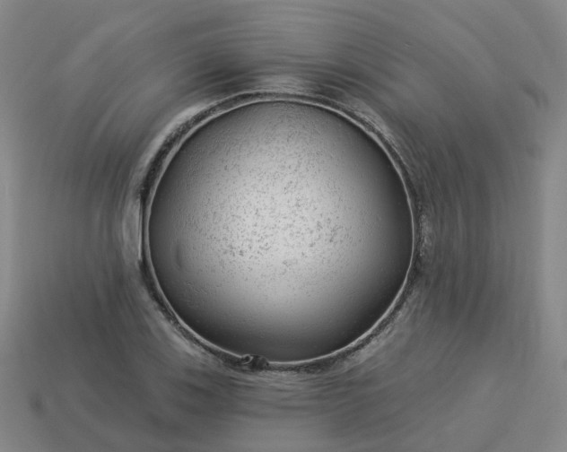 X0000114081123200910191537