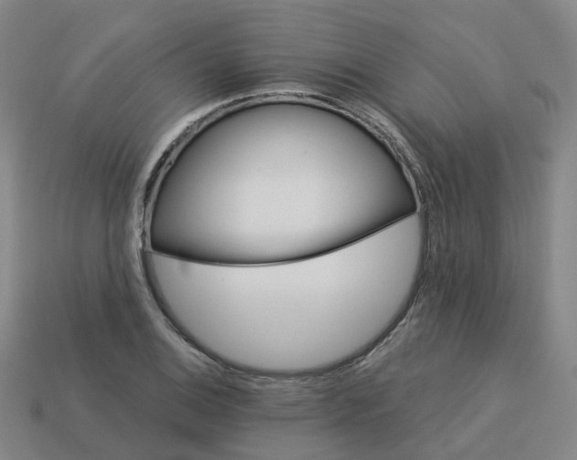 X0000114081124200910191537