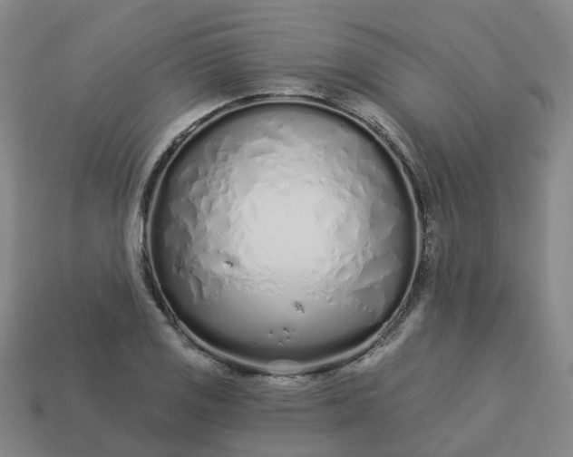 X0000114081125200910191537