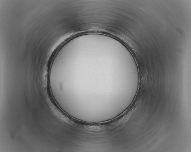 X0000114081126200910191537