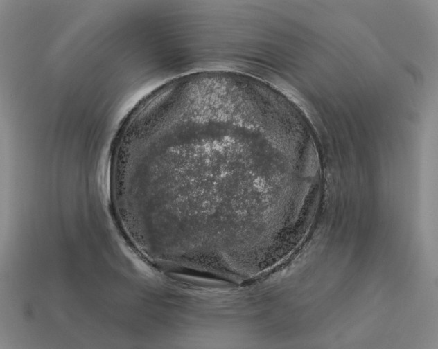 X0000114081127200910191537