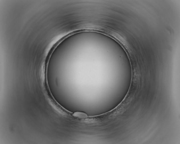 X0000114081128200910191537