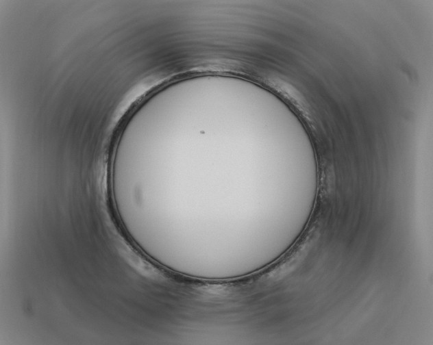 X0000114081130200910191537