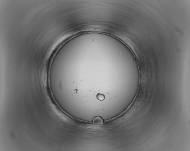 X0000114081131200910191537