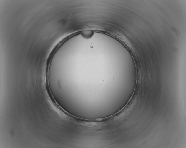 X0000114081132200910191537