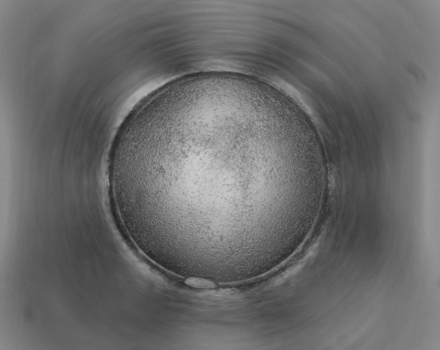 X0000114081133200910191537