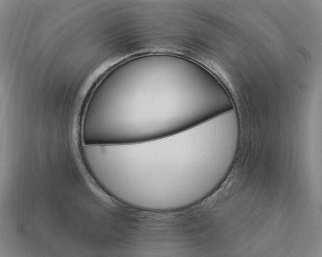 X0000114081136200910191537