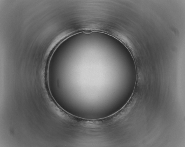 X0000114081138200910191537