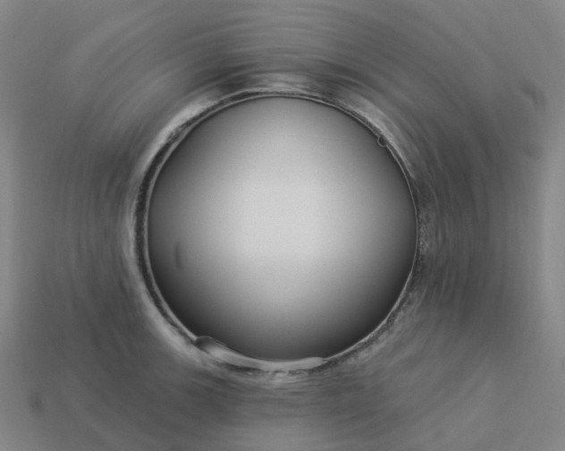 X0000114081139200910191537