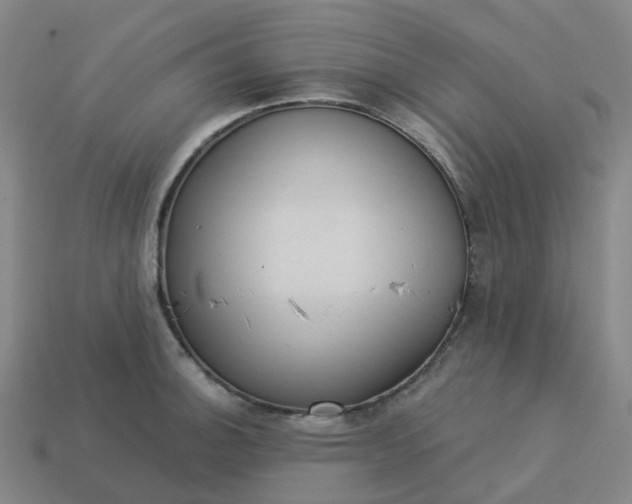 X0000114081140200910191537