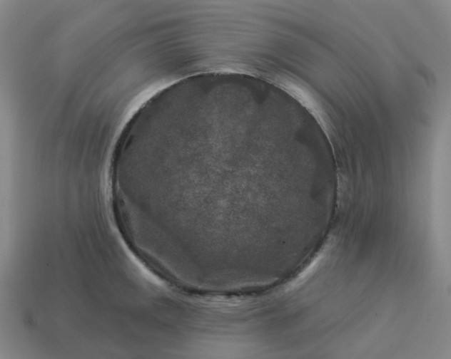 X0000114081141200910191537