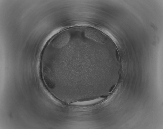 X0000114081142200910191537