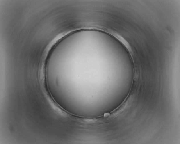 X0000114081144200910191537