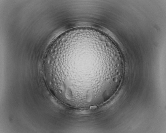 X0000114081145200910191537