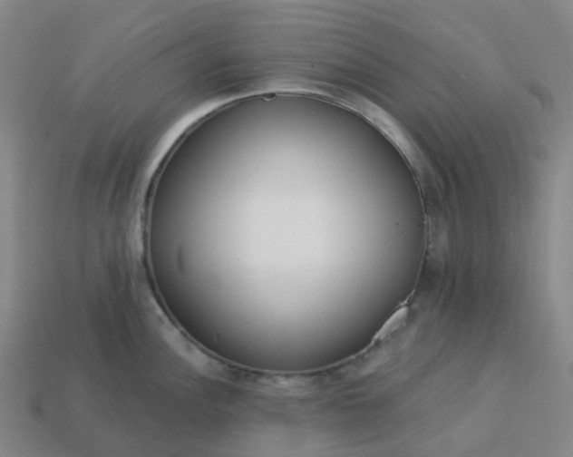 X0000114081148200910191537