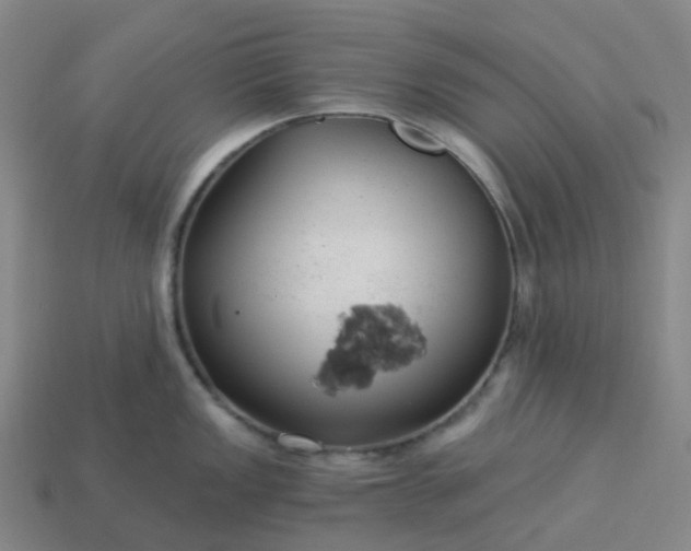 X0000114081149200910191537