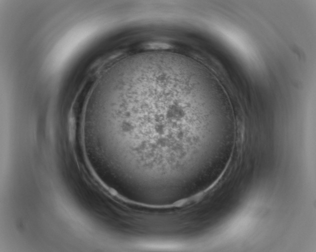 X0000114081151200910191537