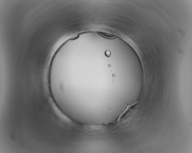 X0000114081152200910191537