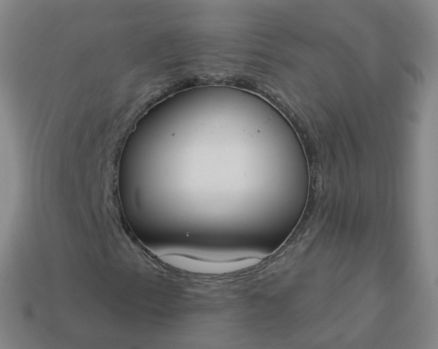 X0000114081153200910191536