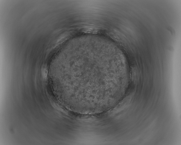 X0000114081154200910191536