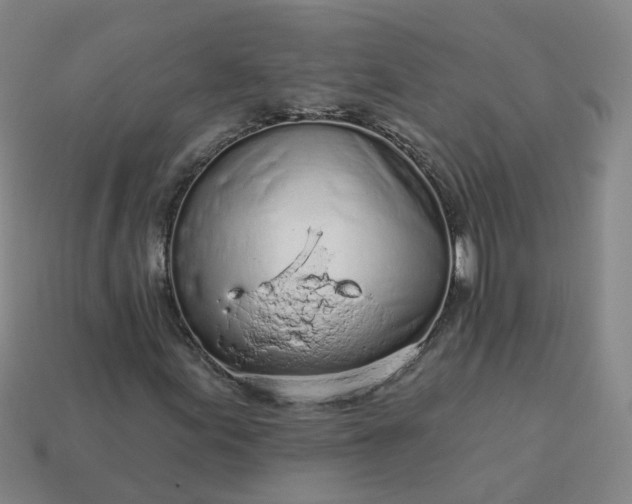 X0000114081155200910191536