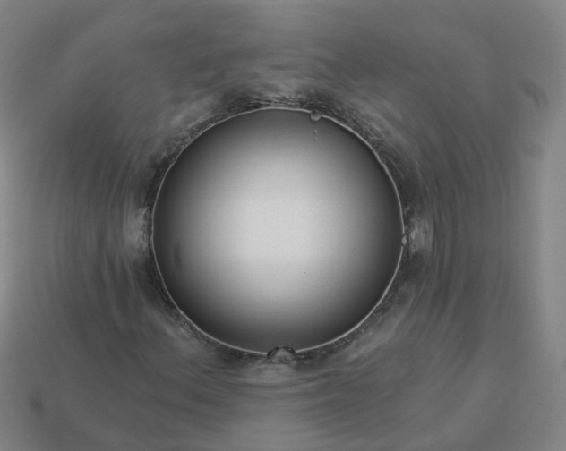 X0000114081156200910191536