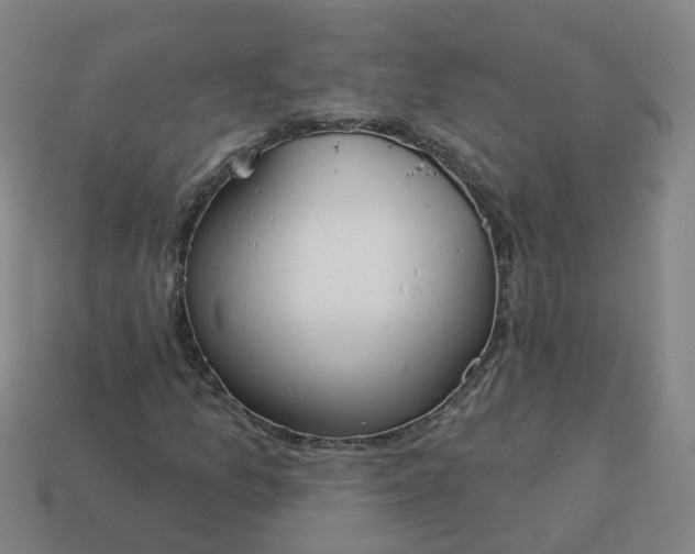 X0000114081157200910191536