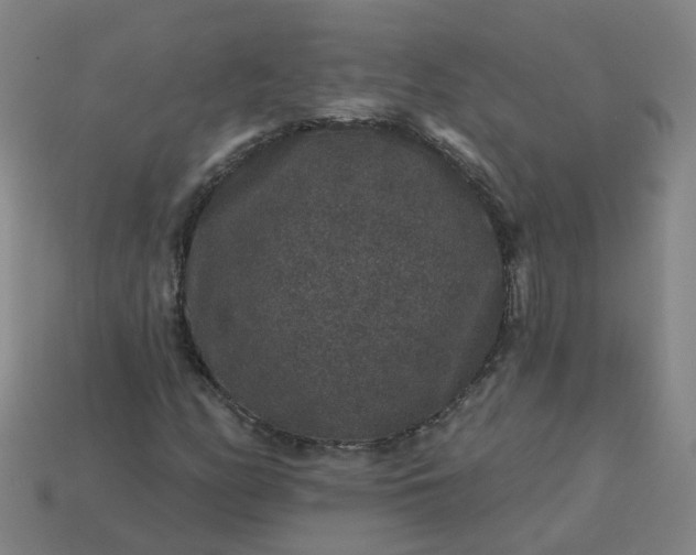 X0000114081158200910191536