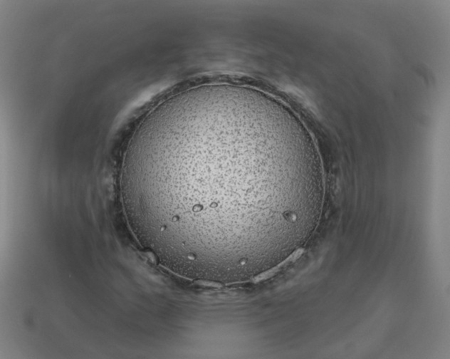 X0000114081159200910191536