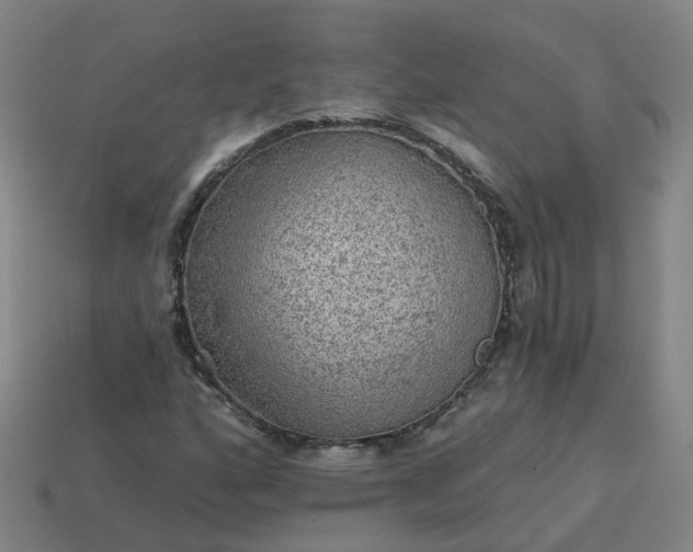 X0000114081160200910191536