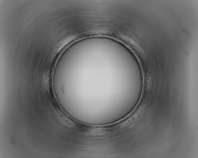 X0000114081162200910191536