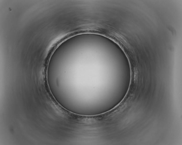 X0000114081164200910191536