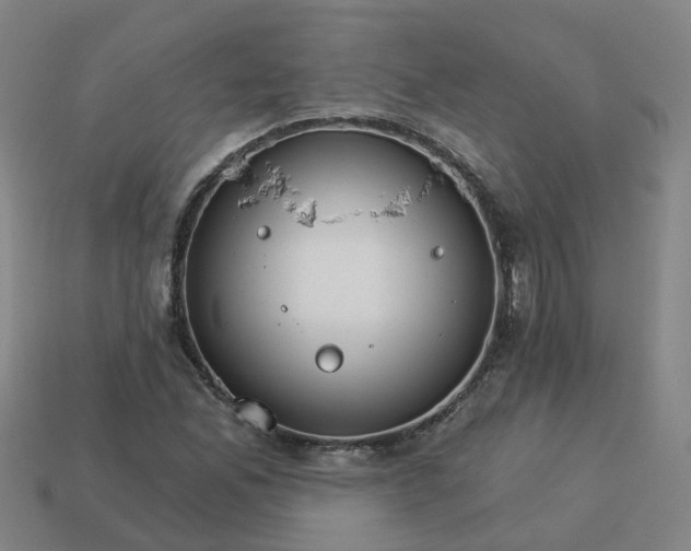 X0000114081165200910191536