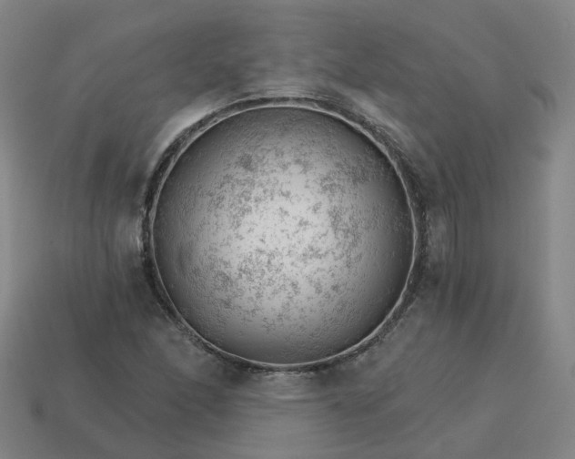 X0000114081166200910191536