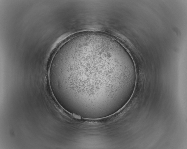 X0000114081168200910191536