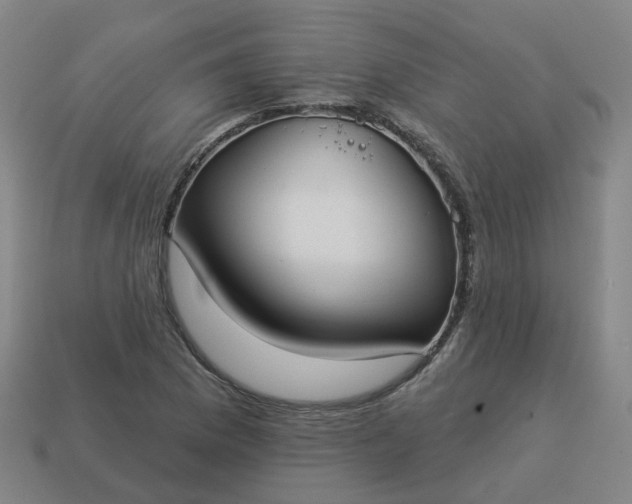 X0000114081169200910191536