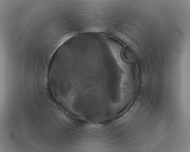 X0000114081170200910191536